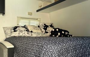Wanderlust Haven