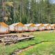 Clear daytime wide shot of the glamping field showing a row of platform tents, firepit area, stream and surrounding trees — good overall property overview and layout.