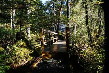 Pigot Bay Cabin
