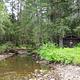 Eagle Lake Cabin with stream on side surrounded by trees