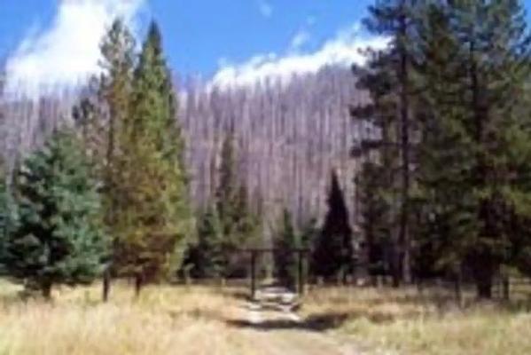001, Loop: AREA PEAVY CABIN