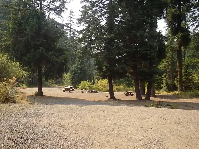 Pine Needle Group Site