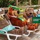 Campspot slideshow image 1