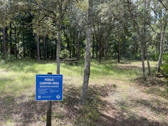 JP Hall Bayard Point Conservation Area Site 2 Hike-In SJRWMD
