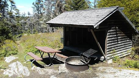 Shelter, picnic table and fire ring in forest and grass setting