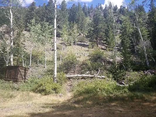 Dawson Cabin, Loop: DAWSON CABIN