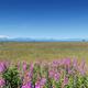 Campspot slideshow image 5