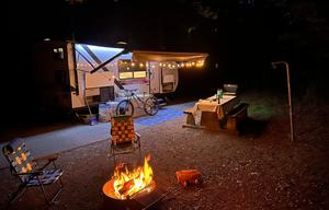 2020 Forest River RV Wildwood FSX 179DBKX
