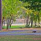 Campground image 3