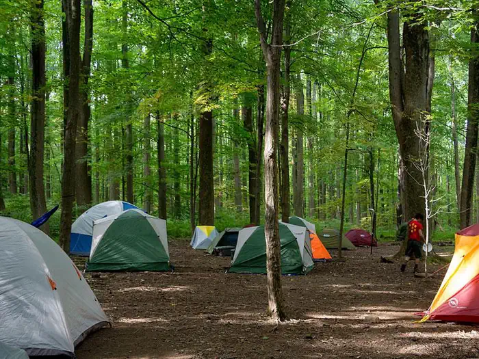 Poplar Grove Youth Group Campground