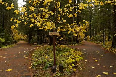 Paradise Creek campground