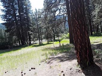 Sloway Campground (MT)
