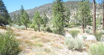 Meadow Group Campground