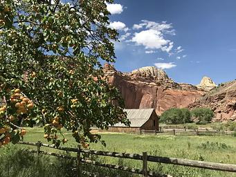 Capitol Reef Group Campground