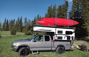 Pack-n-Play Palomino