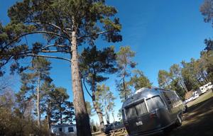 The Spaceship