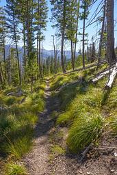 Trail view to the lookout