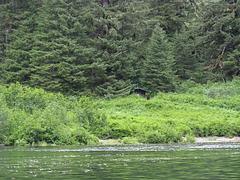 Plotnikof Lake Cabin13