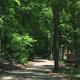Paved campground road winding through dense trees with campsite signage — useful view of the park’s wooded RV/tent loops. Image appears on the property homepage (RV/tent area context).