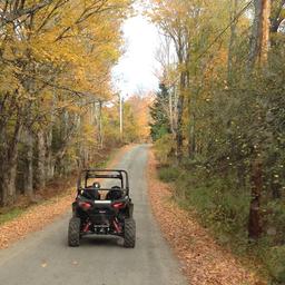 Utility/road access view showing an off‑road vehicle on a tree‑lined road in seasonal foliage — useful to illustrate on‑site vehicle trails and surrounding woods (from campground gallery).