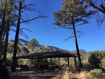 Bright blue skies over a large covered ramada surrounded by trees