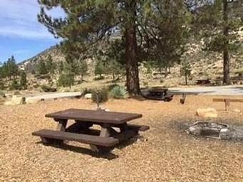 Meadow Group Campground