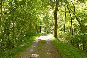 Mccoy's Ferry Campground