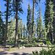 Upper Billy campsite located mostly in the sun but surrounded by a pine forest. The site include a picnic table and campfire pit.