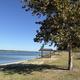 Westcliff Shoreline View