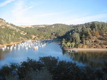 Skippers Cove Marina 