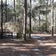 Campground image 2