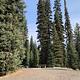Tall conifer trees surround graveled parking area, with picnic table and fire ring in the background.