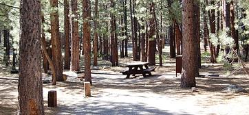Old Shady Rest Campground