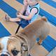 Jon and Ash's kid & pet friendly RV Rental