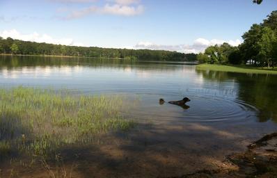 Rayburn RV Hideout