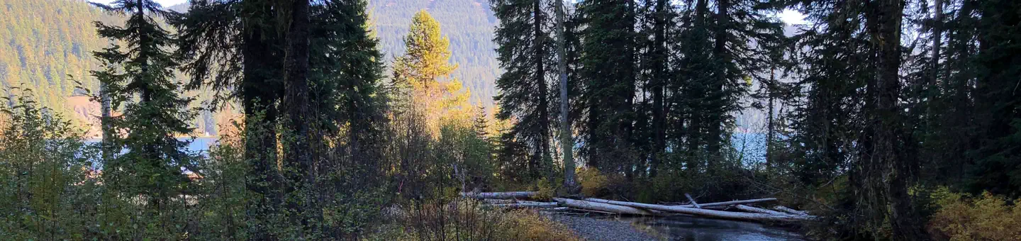 Trapper Creek Campground