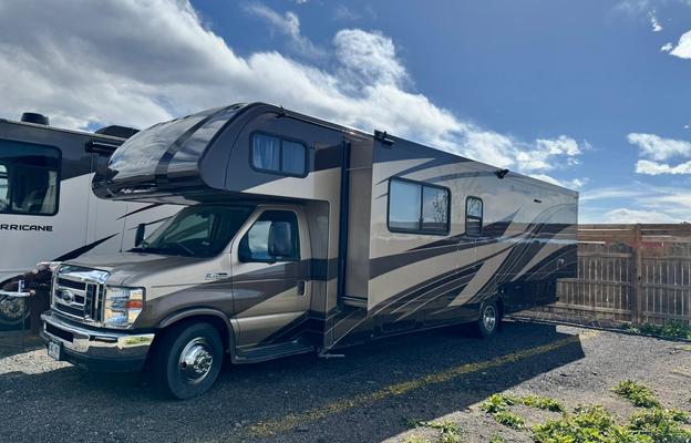 'Olive' 2018 Forest River Sunseeker 3050S ACO2041