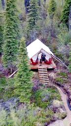 Aerial/drone-style view looking down at a single tent on its deck with surrounding trees and trail — good overview of campsite placement, deck and access path on the property (site context shows this view).