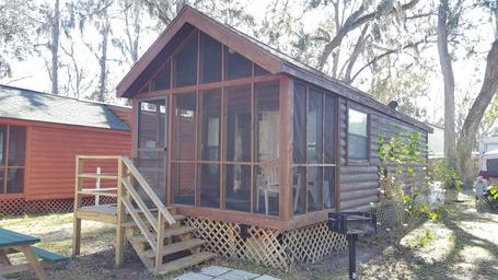 Close exterior view of a standalone cabin with screened porch and surrounding trees — good alternate cabin detail and visitor view.