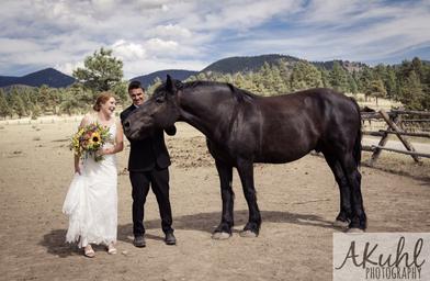 horse flowers.jpg
