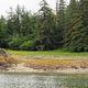 Brown A-frame Berg Bay Cabin with large green trees surrounding it, with water and grasses in the foreground.