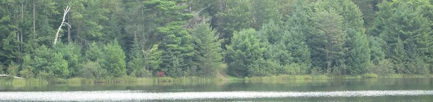 001, Loop: LAKE NINETEEN CAMPSITE