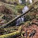 Waterfall on Elliott State Forest land accessed from Loon Lake day use area.