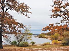 Belle Starr Park