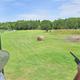 Silver Dollar RV Resort