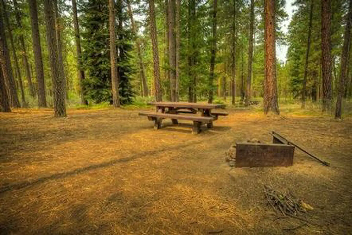 Riverside Campground (deschutes National Forest, Or)