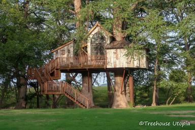 Exterior view of the Chapelle treehouse elevated on large trunks with deck and stairs, set in grassy grounds — good overall portrait of accommodation and landscape (homepage/treehouses imagery).