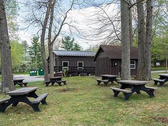 Multiple picnic tables outdoors in grass area on the side of the dining hall facility.  Several large trees shade the picnic area.