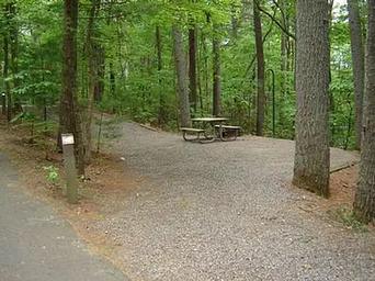 Campsite with picnic table and lantern post.
