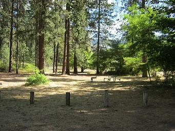 Haag Cove Campground trees in the background
